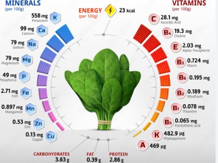 Nutrition of Spinach