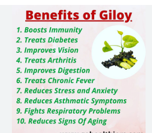 Benefits of giloy