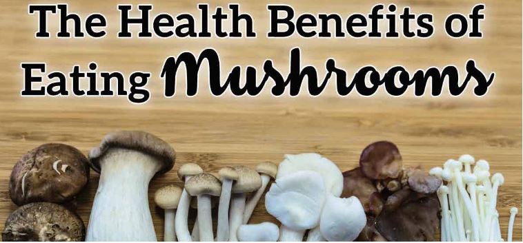 Health benefits of mushroon